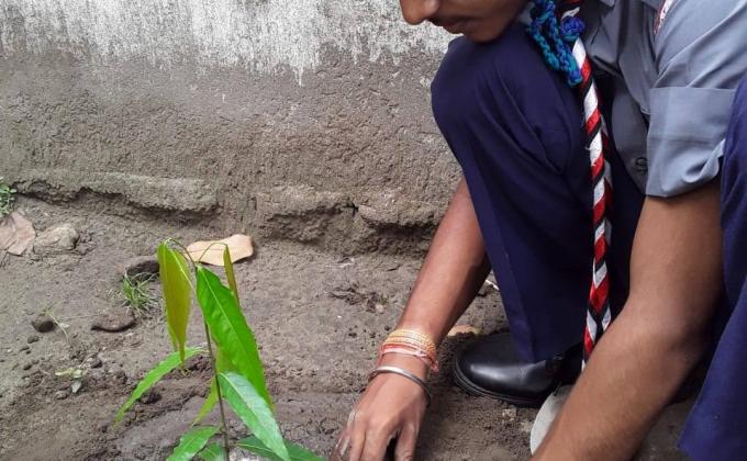 Celebration of world Environment day