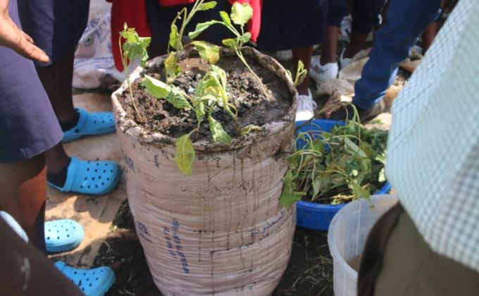growing of vegetables in a bag aiming at good utilisation of little land and little water we have