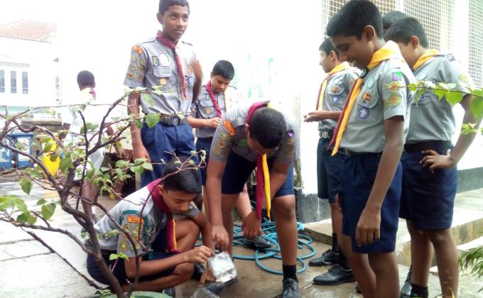 Dengue project at Asoka college colombo Sri  Lanka