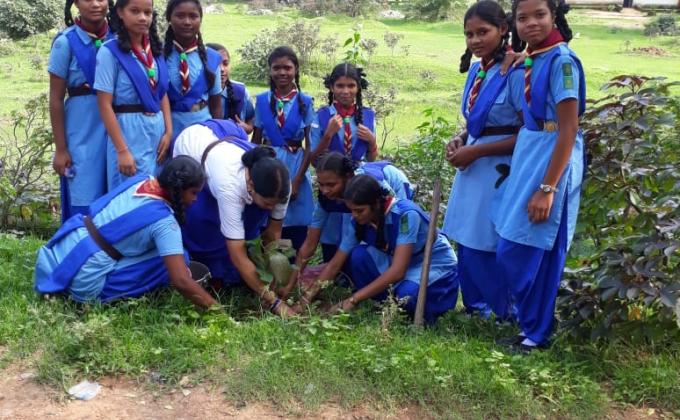 plantation programme