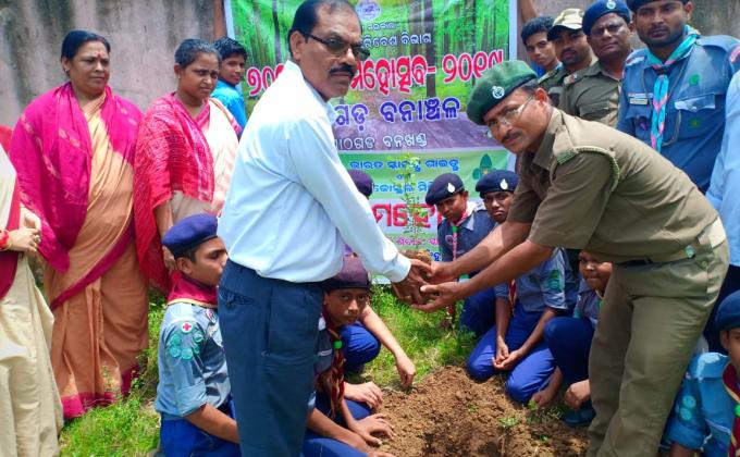 Plantation programme
