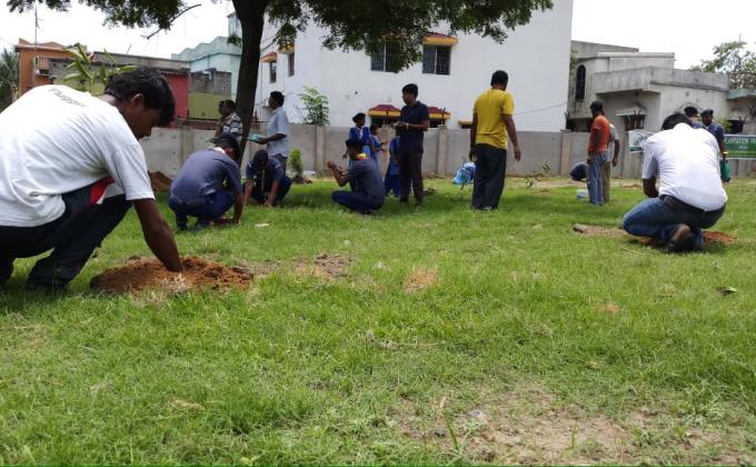 Tree plantation