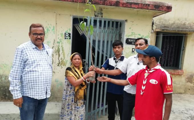 Plantation and distribution of tree