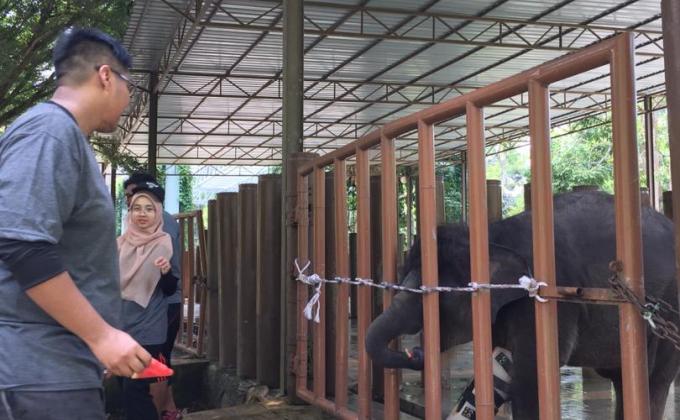 CSR at Elephant Conservation Center