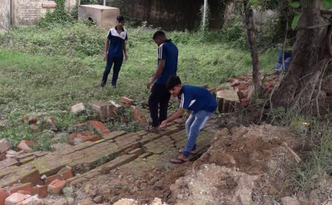 Protection area for plant