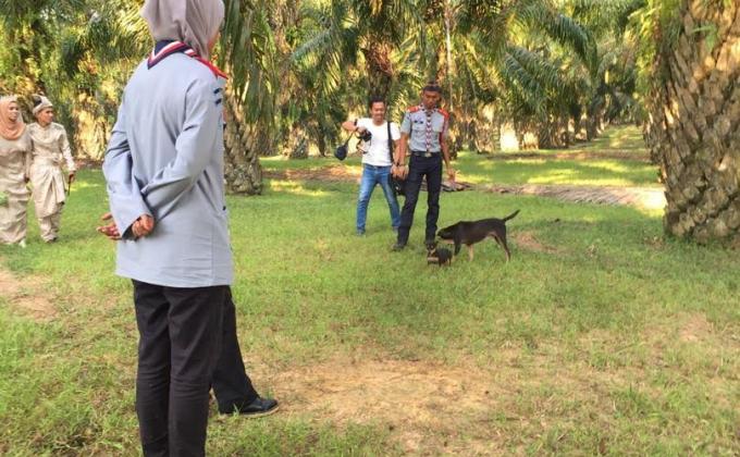 Berkhidmat di Perkahwinan Ahli Pengakap C Pekan, Pahang