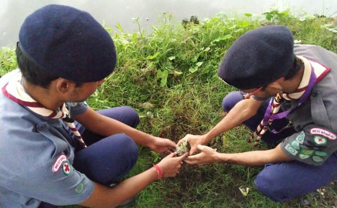 Planting trees for a better tomorrow.