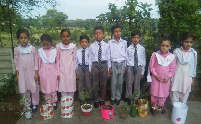 plantation awareness 