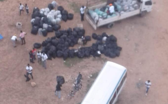 International Peace Day