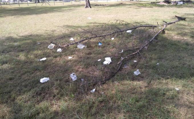 DÉVELOPPEMENT COMMUNAUTAIRE 