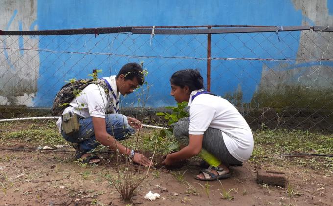 Plantation Drive