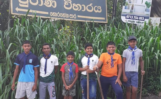 Clean the Temple premises