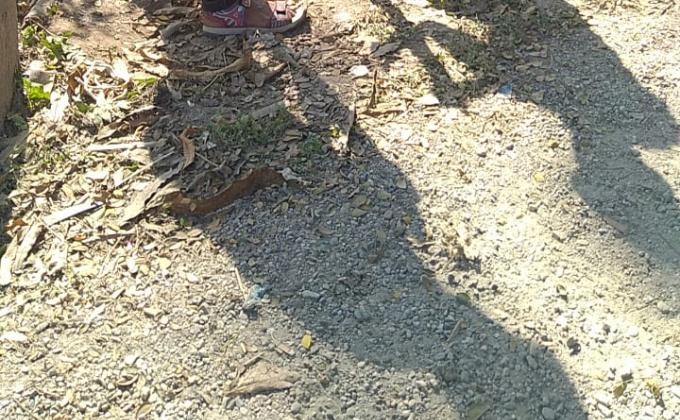 Service in Himalayan wood badge course 2019