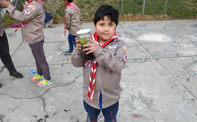 mi terrario
