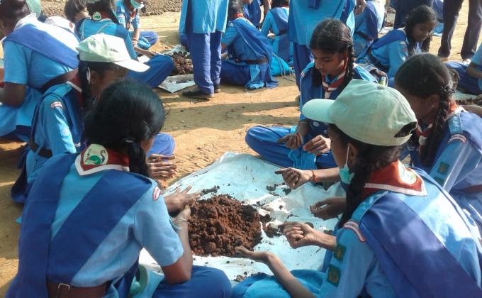 bijadhaunde seeds