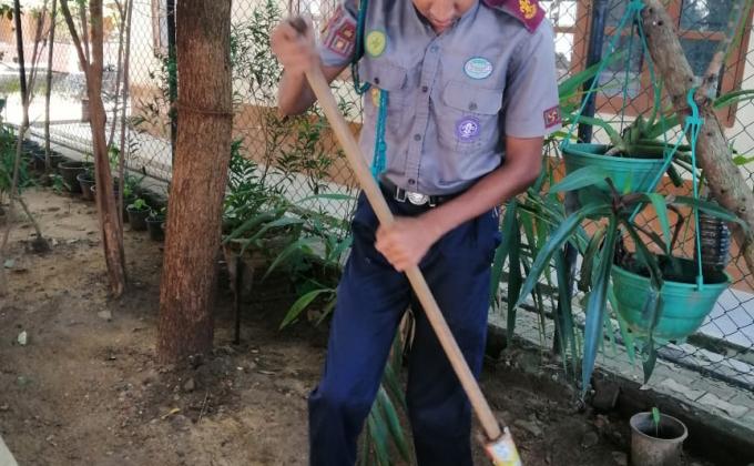Planting campaign
