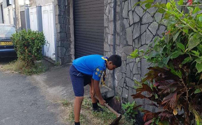 Dengue Eradication Campaign 