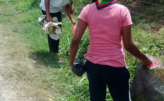 cleaning around school