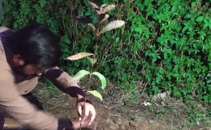 Green Pakistan "Planting" Campaign

