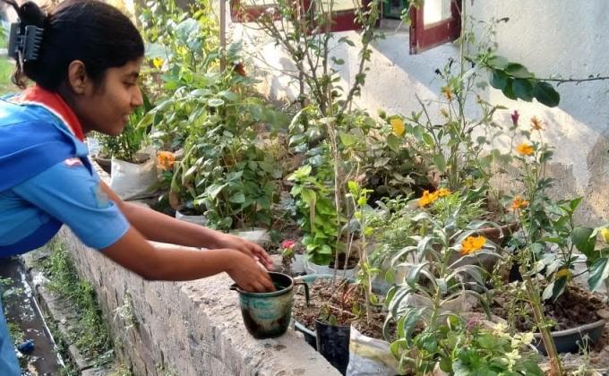 Celebrating World environment day