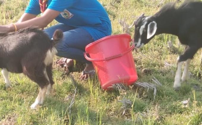 SANKALP TO CREAT A BETTER TOMORROW