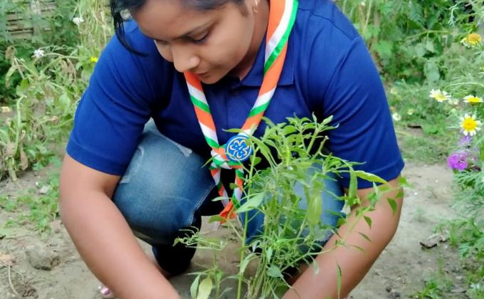 Sankalp Project Points ( B) Environment & Sustainability Challenge (4) Goorganic