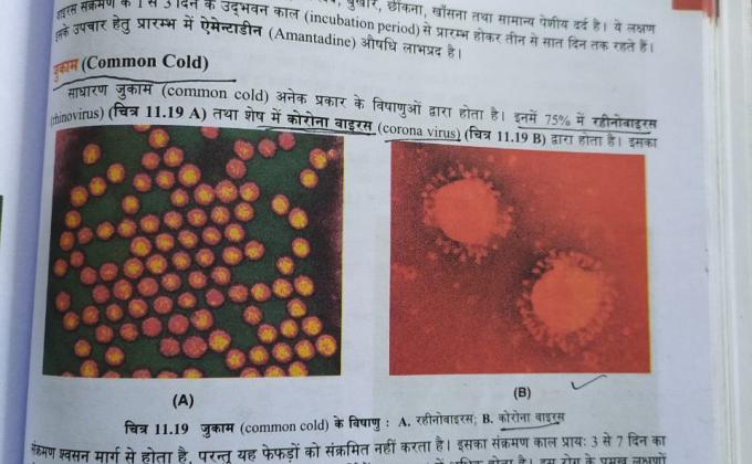 9pm#Group meeting on corona ppt.