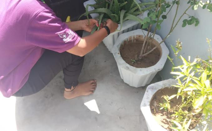 Environment and sustaibilty #Go organic 