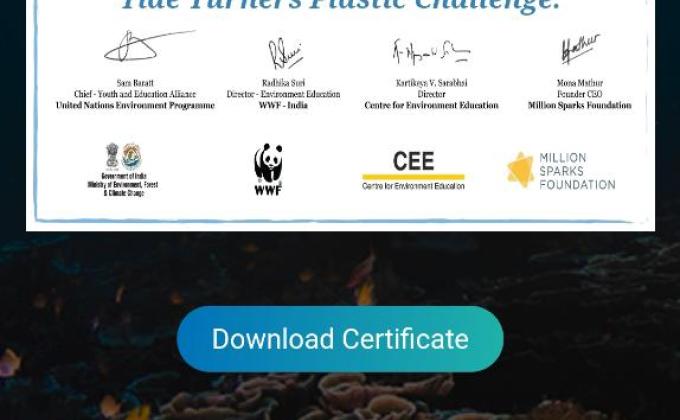 # Plastic Tide Turners Challenge 