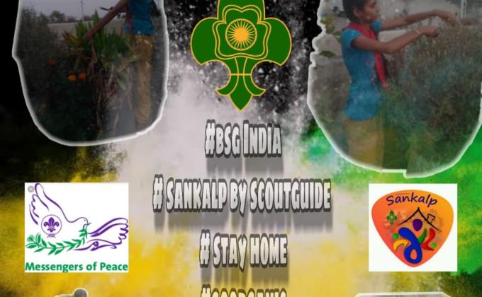 goorganic vegetables and # home farm(sankalp project) 