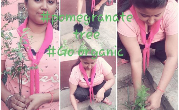 Sankalp⚜create  a better  tomorrow 
B).Environment &Sustainability..
Challenge - 4