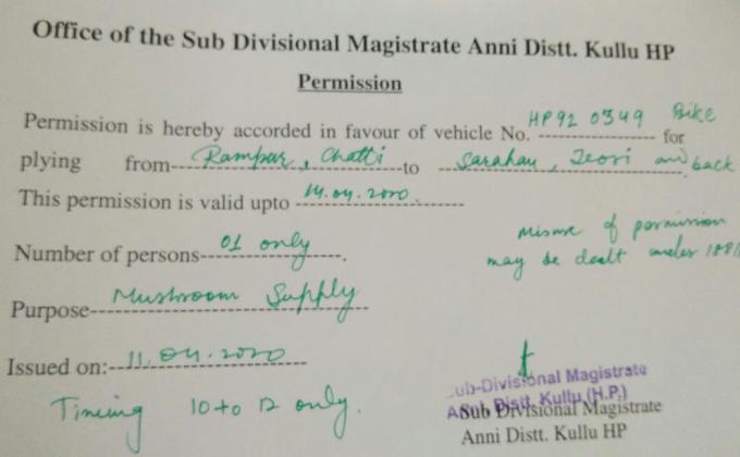 Help to make curfew pass