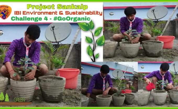 SANKALP PROJECT⚜️

Group B : Environment & Sustainability
Challenge 4 : #Goorganic