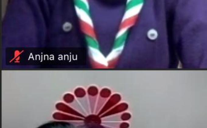 Virtual Meeting of BSGHP