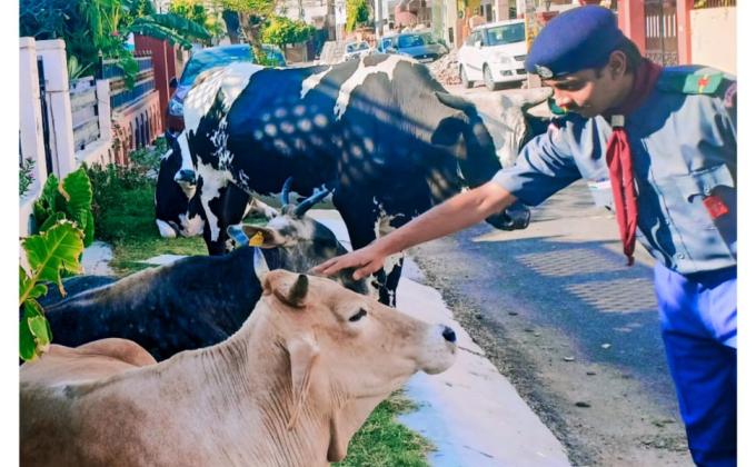 Help Animals In Lockdown