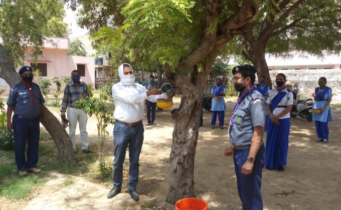 Rajasthan State Bharat Scouts and GuidesSummer Parinda Campaign in jhunjhunu 
