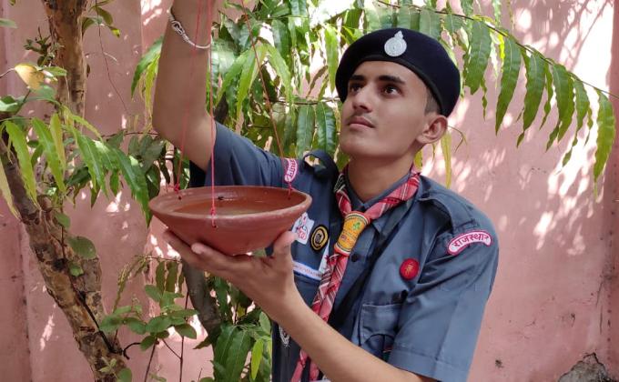 पक्षियों के लिये सकोरे 