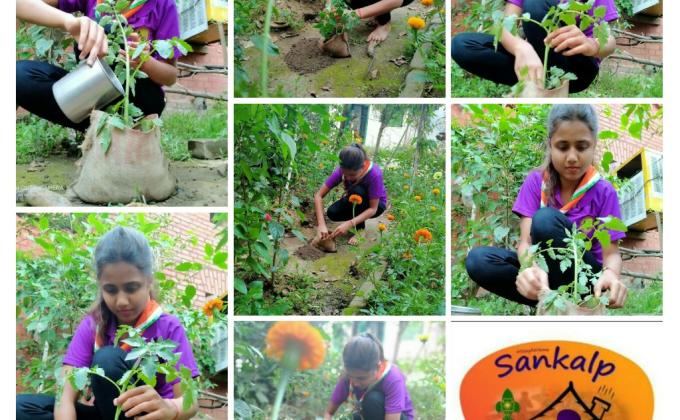 Sankalp Project Point (B)Environment & sustainability Challenge (4)#Goorganic