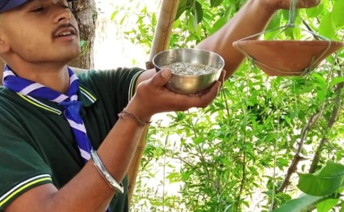 घरेलू वस्तुओं से पक्षियों के लिए परिंडे व चुगा तैयार कर पानी व दाना डालने का सेवा करें