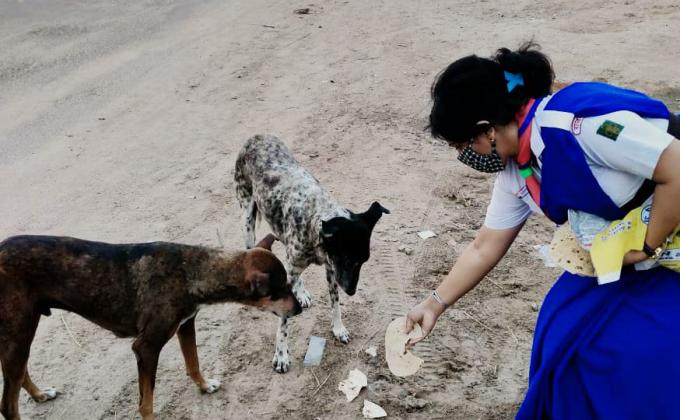 help cows and dogs in covid -19 by unit leader suman charan