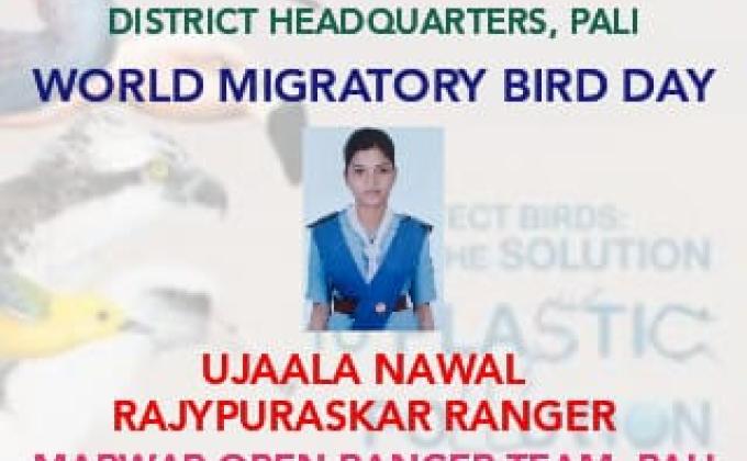 WORLD MIGRATORY BIRD DAY 2020