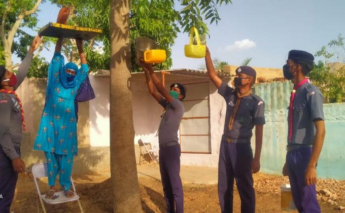 #migratory bird day 2020