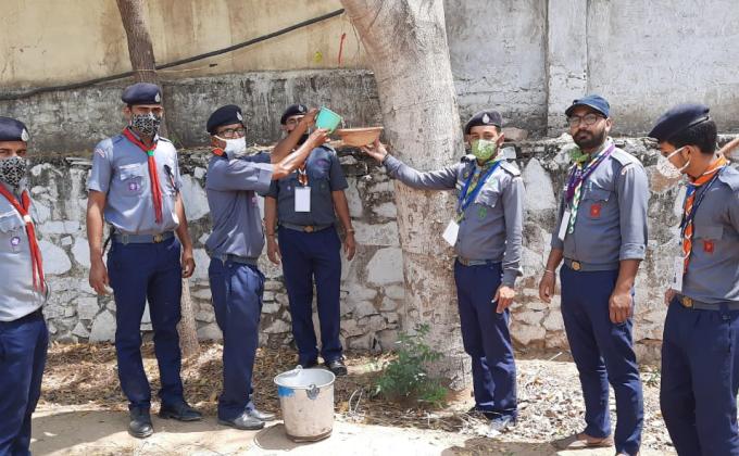 विश्व प्रवासी पक्षी दिवस 