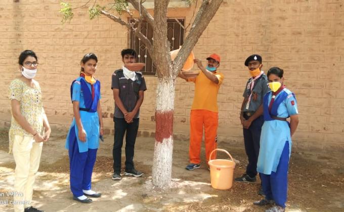 missian parinda 1001