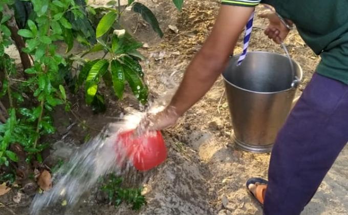 पेड़ पौधों में पानी डालते हुए