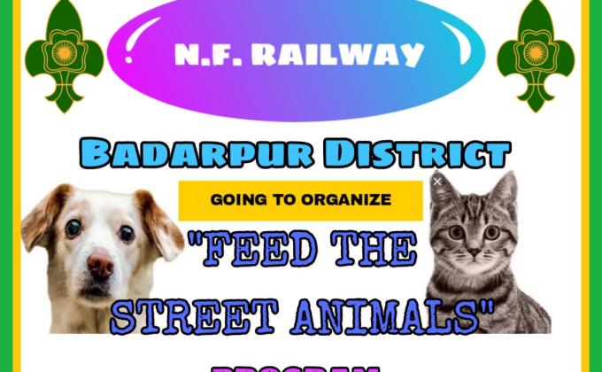 FEED THE STREET ANIMALS