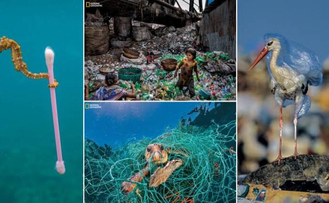 जरूरत मन्द मरीजो के लिए रक्त दान करते हुए स्काउट गाइड केप्टन जयलता माधव