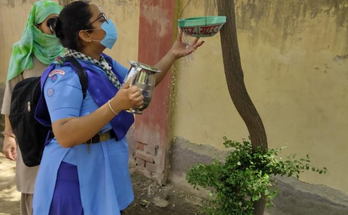 #Water and food feeder for birds