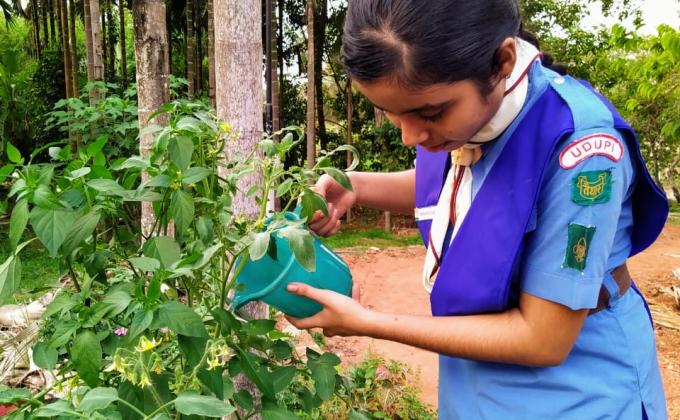 Challenge B- Go organic