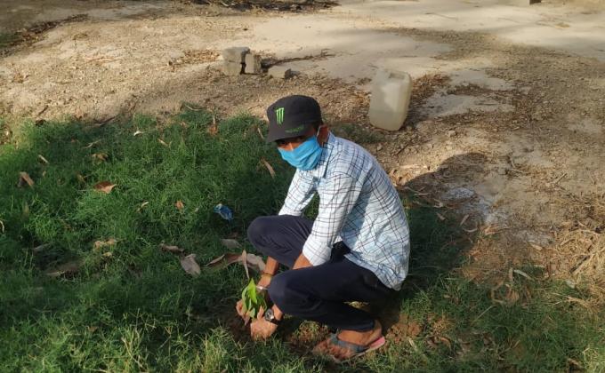 Plant planting